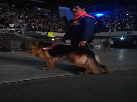 Dani y su compañero en un concierto