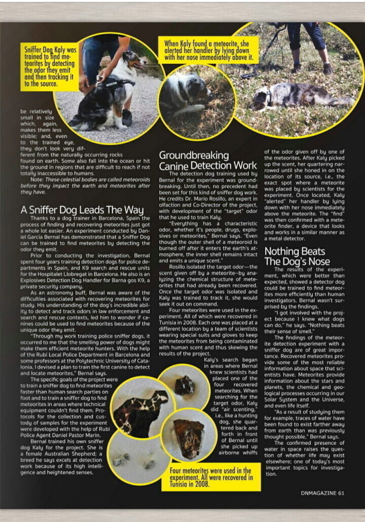 Artículo internacional sobre Kaly