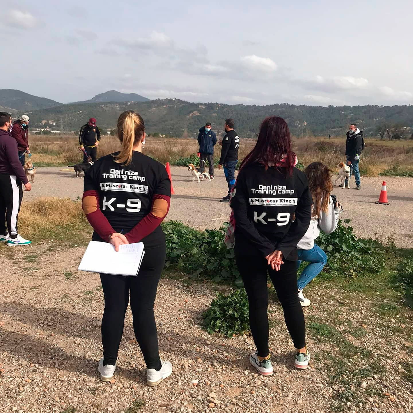 Curso obediencia urbana