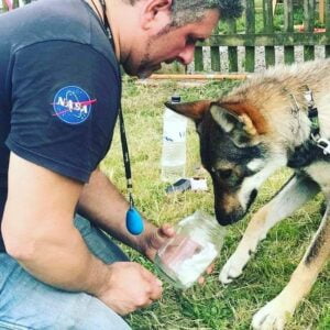 Adiestramiento de perros detectores