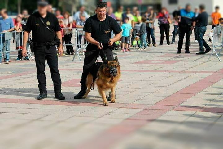 Dani en una exhibición con un perro de seguridad