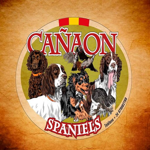 Cañaon Spaniels Logo
