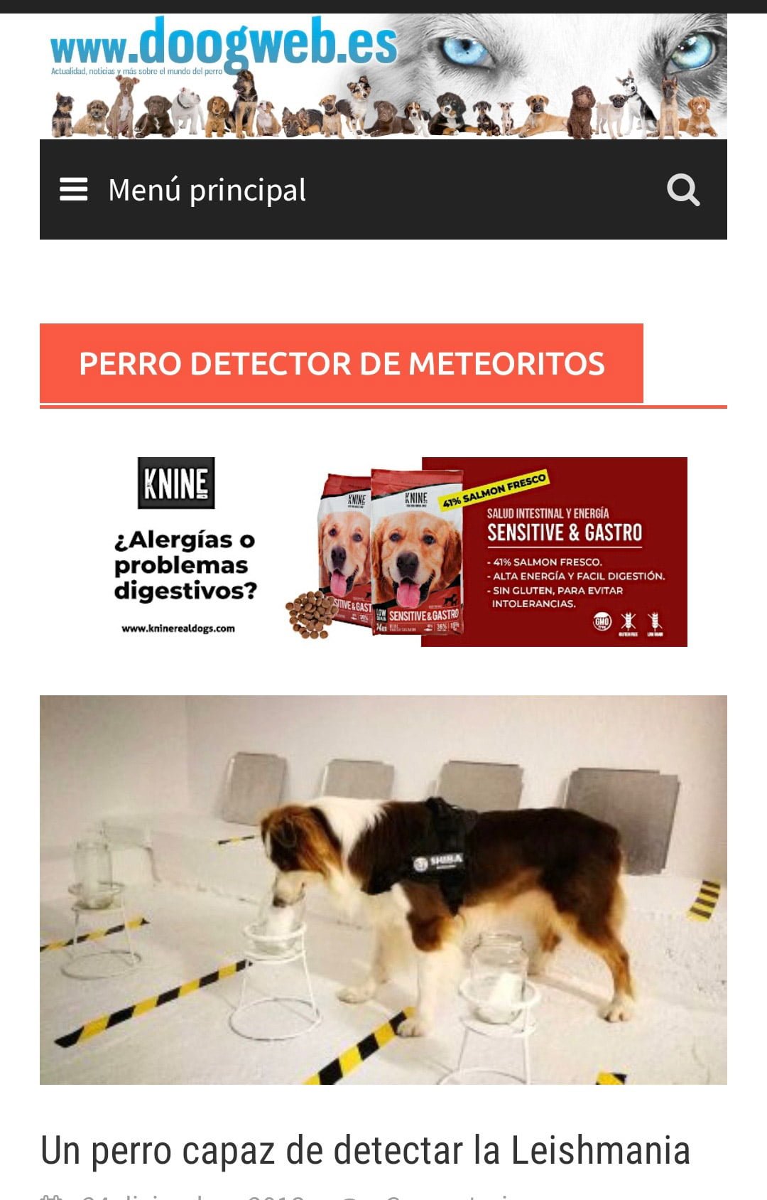 perro_detector_leishmania