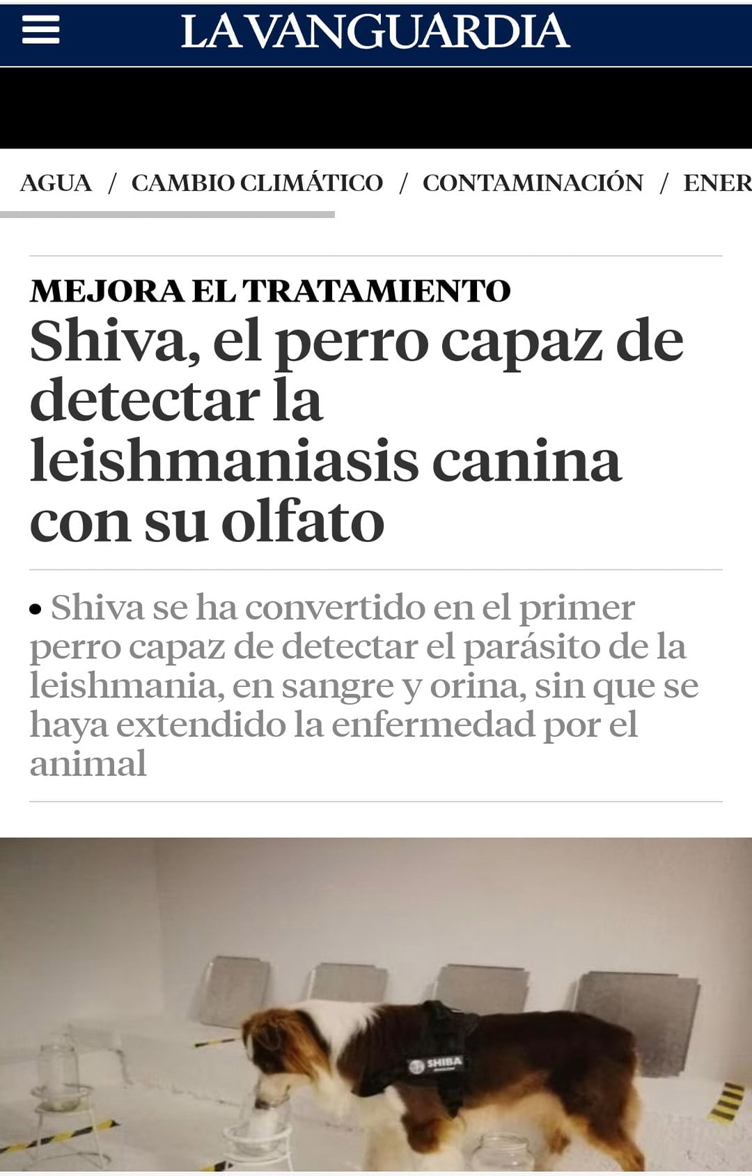 Artículo de "La Vanguardia" sobre el proyecto de detección de Leishmaniasis canina