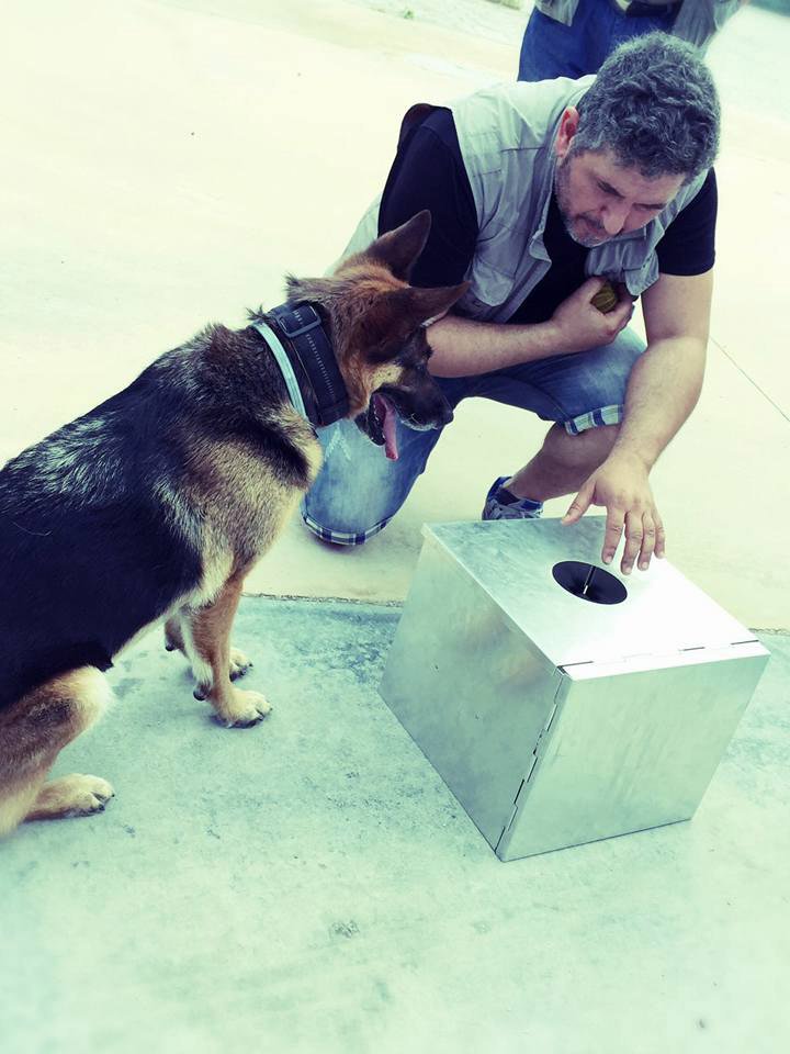 Perros detectores Barcelona y un perro de raza Pastor Aleman