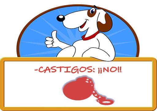 Qué es la educación canina en positivo