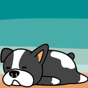Consejos para educar a un perro