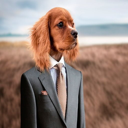 Servicios específico - Biomarkers k9