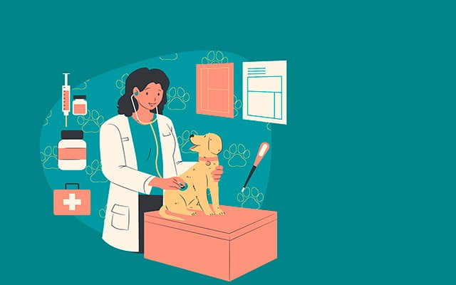 Veterinaria atendiendo a un perro en una revision, formato de dibujos