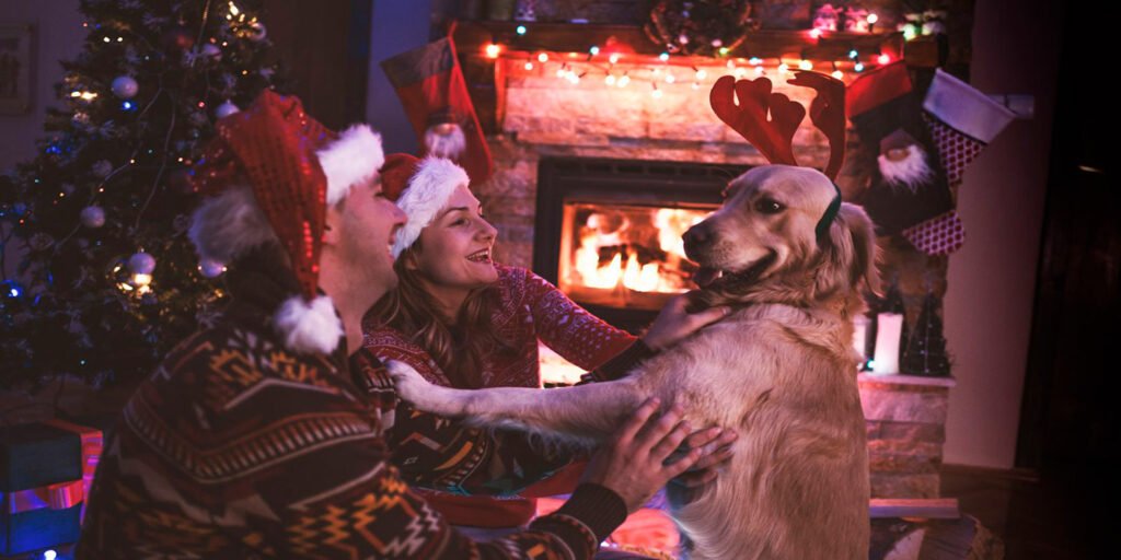 Perros y navidad