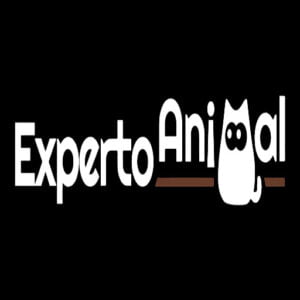 Mejores Escuelas de Adiestramiento Canino de Barcelona segun Experto Animal
