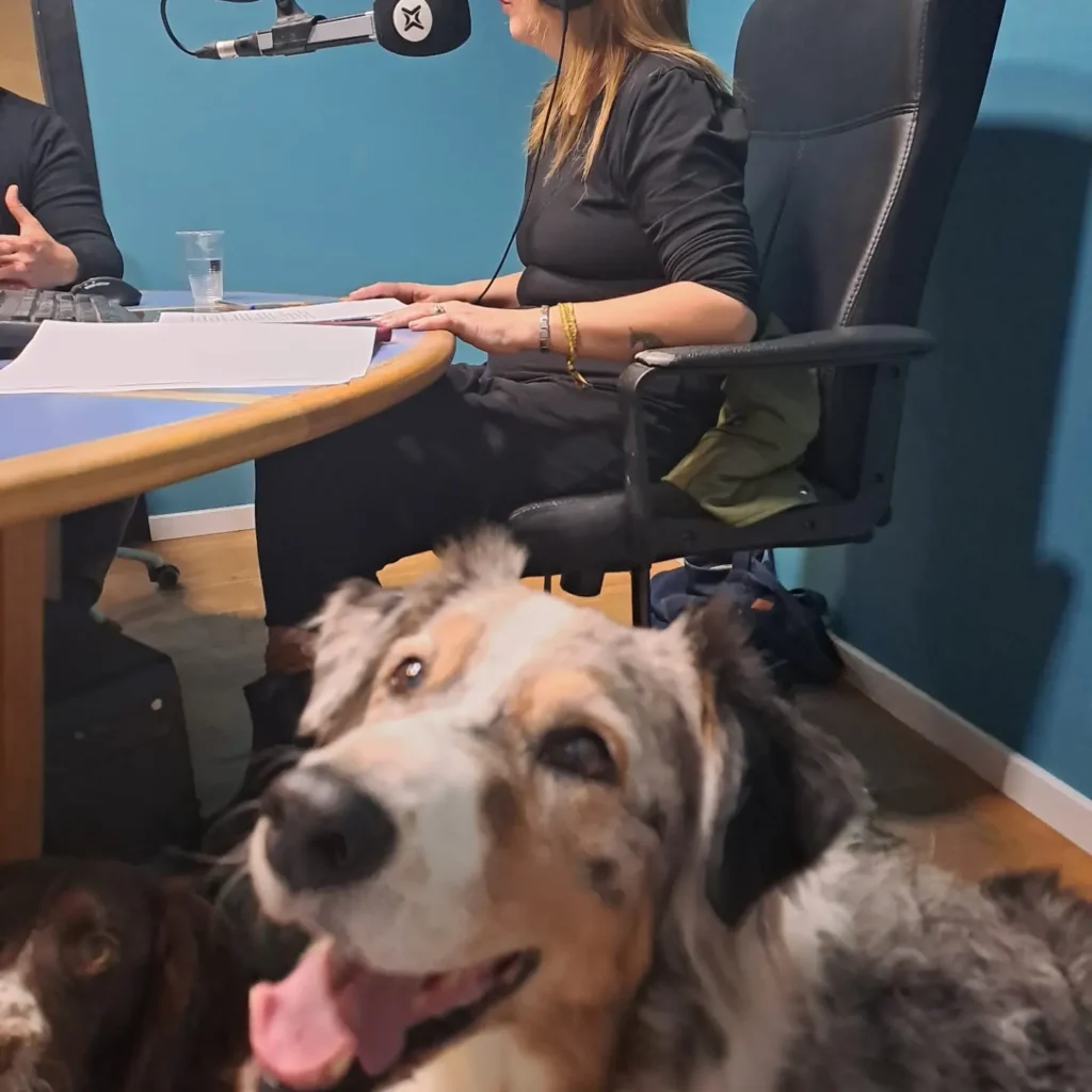 IMG_20231213_135455_538