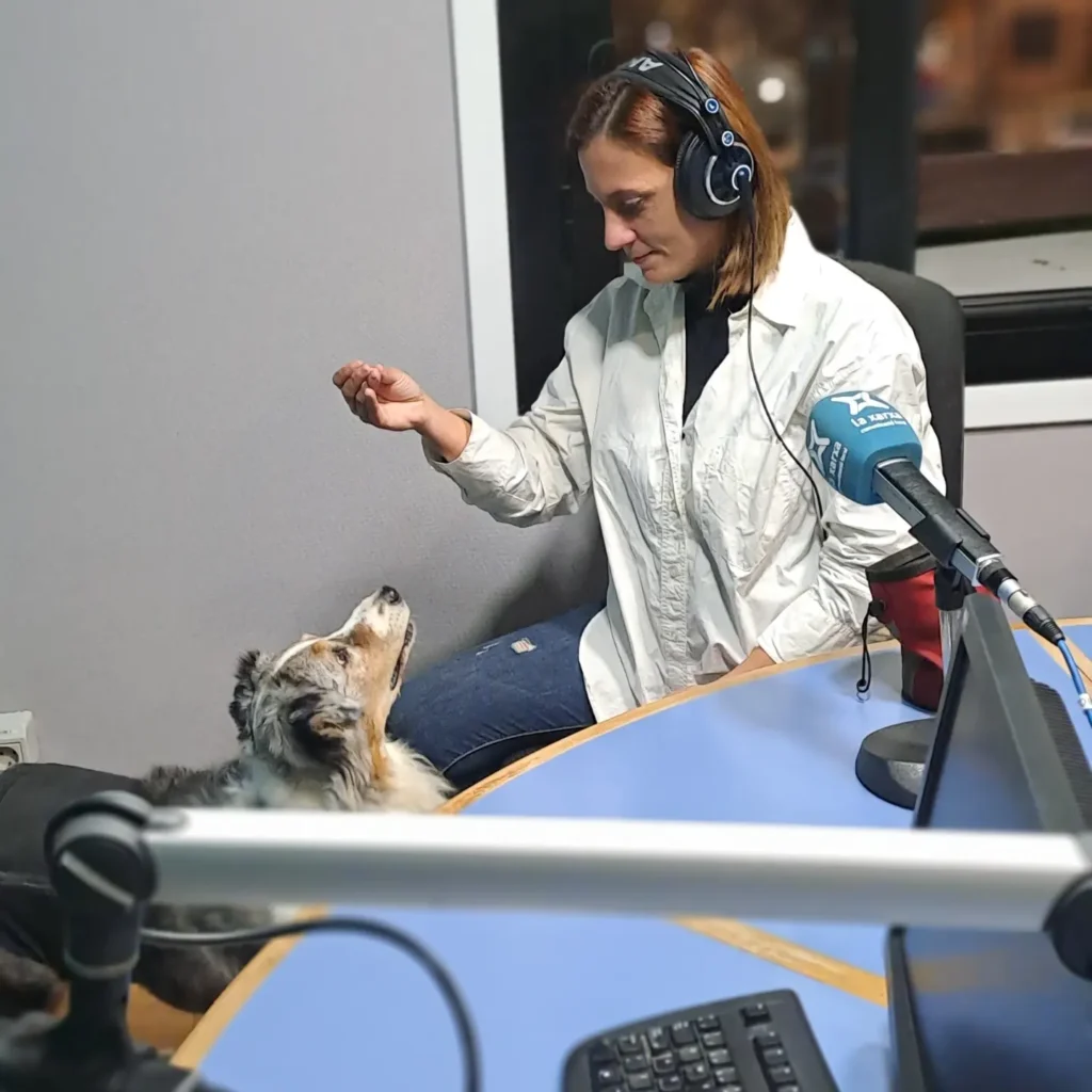 IMG_20231213_135455_687