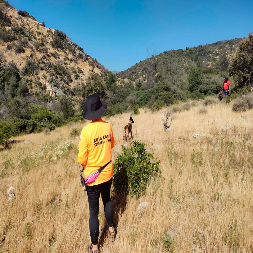 bf6ac84f-a181-45d4-93bb-9b1917850174