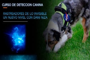 Curso de Detección Canina: Aprende Técnicas Profesionales de Rastro y Búsqueda con Dani Niza