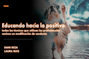Curso de Modificación de Conducta Canina: Técnicas Profesionales para Perros con Problemas de comportamiento.