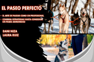 Curso del Paseo Perfecto: Aprende a pasear a tu perro como un profesional
