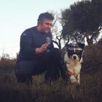 Adiestramiento canino profesional