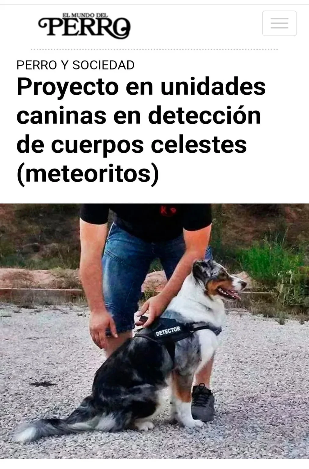 El Mundo del Perro
