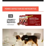 Doogweb