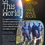 dnmagazine.us
