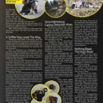 dnmagazine.us