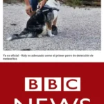 BBC News