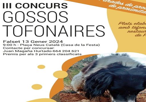 Concurso de Perros Truferos de Falset