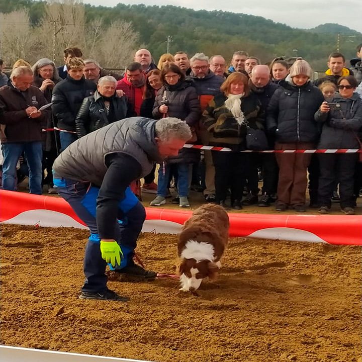 Niza y su perra Shiba en una de las pruebas del concurso de perros truferos de Vimbodí i Poblet