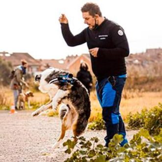 Servicios de adiestramiento canino Barcelona