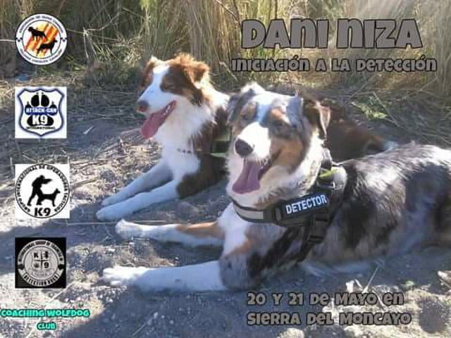 18157294_10208968600148267_5134182787925695070_n