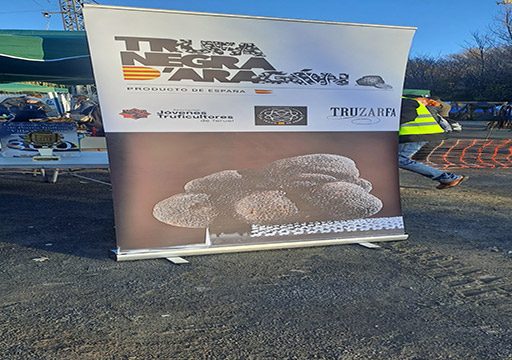 Concurso nacional de perros truferos de Graus