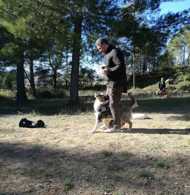 Niza y Kaly en clase de adiestramiento y educación canina Barcelona