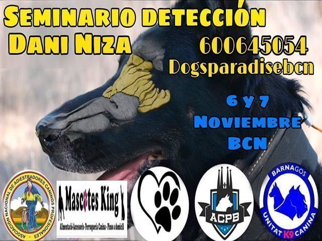 242143221_10224560124565814_6596148520448256352_n