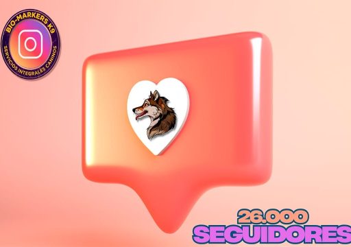 Alcanzamos 26.000 Seguidores en Instagram