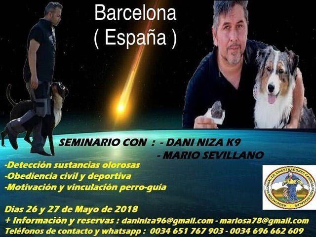 28795252_10214359704441686_5881989185392345088_n