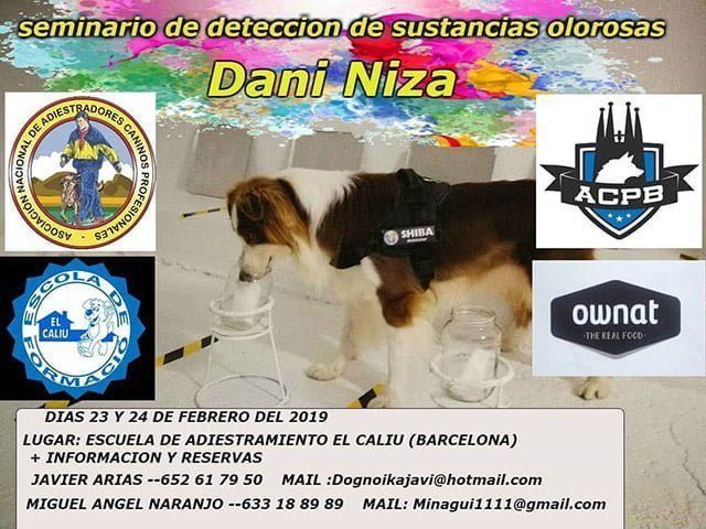 50625257_10217207747521154_2796875255681908736_n