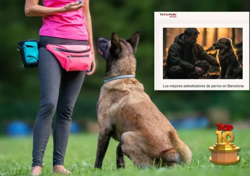 Entre los 10 mejores adiestradores caninos de Barcelona