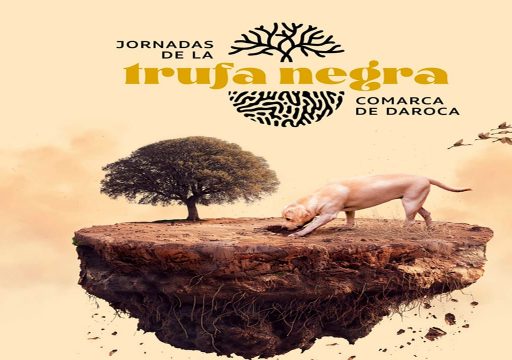 Concurso Nacional de Perros Truferos Daroca 2025