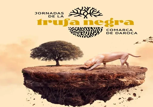 Cartel Concurso Nacional de Perros Truferos Daroca 2025