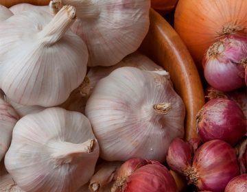 Cebolla, olores que odian los perros