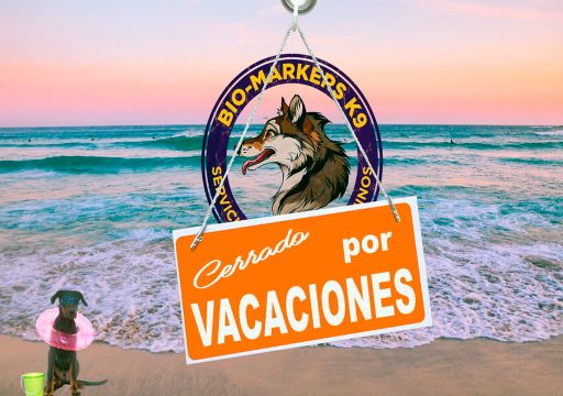 Cerrado-por-vacaciones