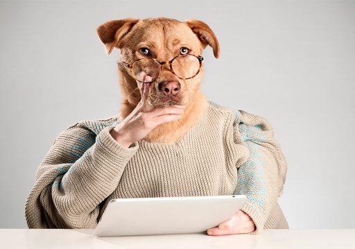 Qué es la metacognición