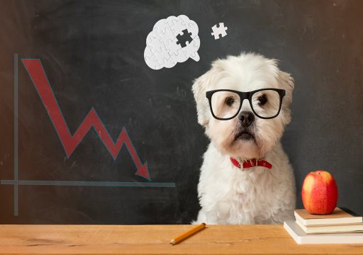 La Curva de Extinción Operante en Perros