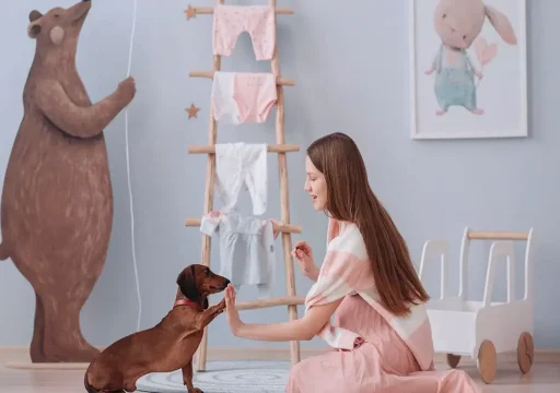 Generalización y discriminación: Claves del adiestramiento canino