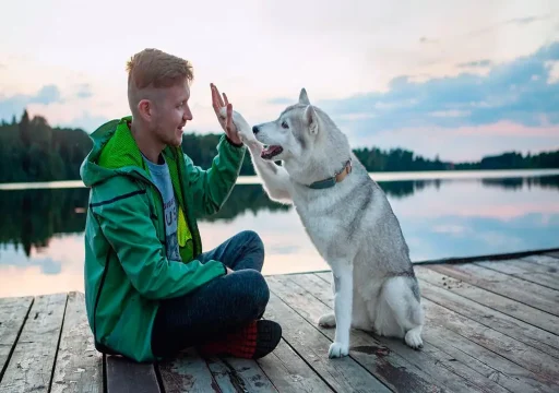 Generalización y discriminación: Claves del adiestramiento canino