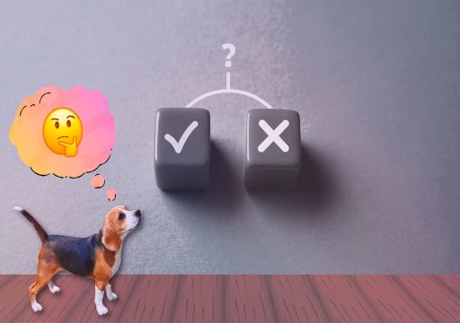 Cómo ayudar a tu perro a tomar mejores decisiones