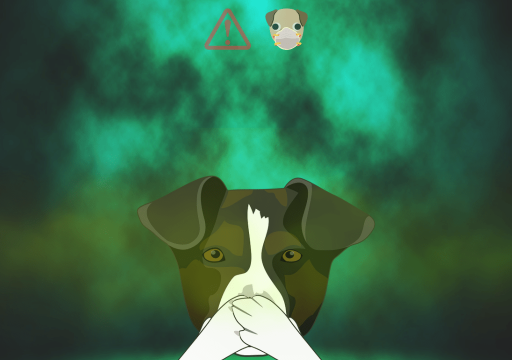 Olores que odian los perros