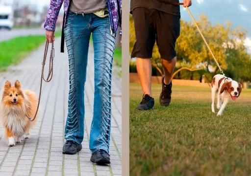 Cómo aprenden los perros