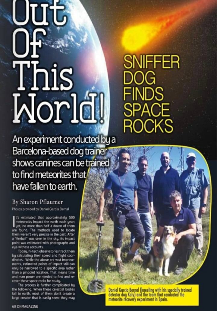 Artículo de DNMagazine sobre el proyecto de el primer perro detector de meteoritos